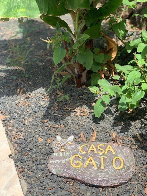 Casa Gato Apartment คอร์ราเลโฮ ภายนอก รูปภาพ